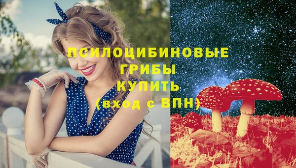 молекула духа Арсеньев