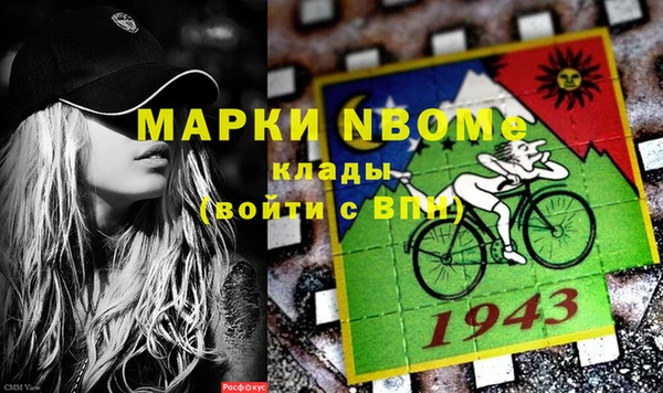 молекула духа Арсеньев