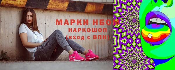 молекула духа Арсеньев