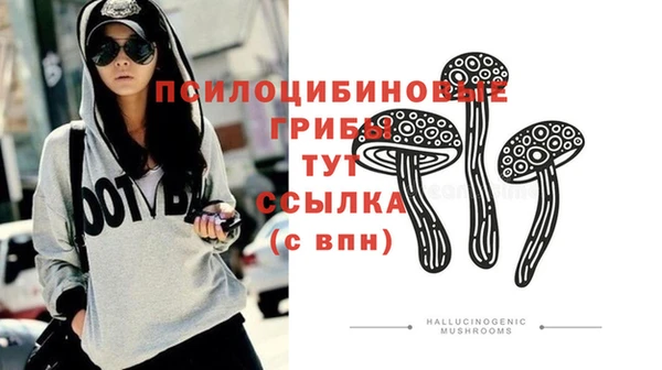 молекула духа Арсеньев